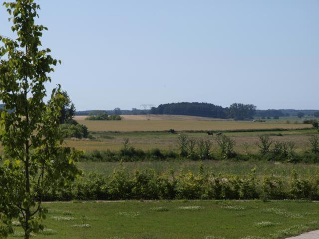 Feriendorf Alte Schmiede Mellenthin Bilik gambar